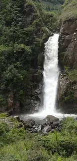 Beautiful waterfall flowing through lush greenery in nature scene.