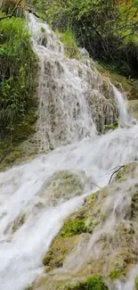 Mobile wallpaper with a serene waterfall and lush greenery.