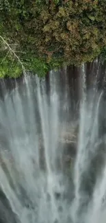 Stunning mobile wallpaper featuring a towering waterfall and lush greenery.