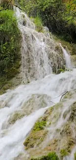 Serene waterfall cascading through green forest