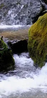 Serene waterfall with lush green moss and flowing water in a natural landscape.