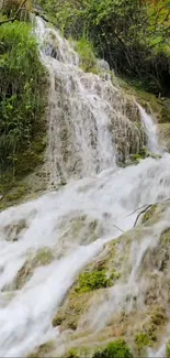 Cascading waterfall in lush green scenery.