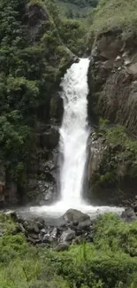 Waterfall cascading in lush green forest, perfect for serene mobile wallpaper.