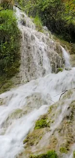 Serene waterfall with lush greenery, perfect for tranquil mobile wallpaper.