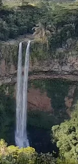 Serene waterfall cascading amidst lush jungle greenery.