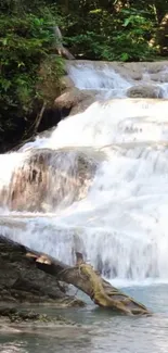 Serene waterfall with lush greenery cascading down rocks and a tranquil pool below.