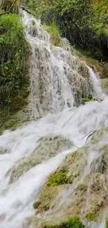 Serene wallpaper featuring a lush, cascading waterfall surrounded by greenery.