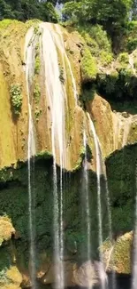 Lush green waterfall cascading down rocks.