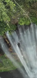 Serene nature wallpaper with a waterfall and lush greenery.