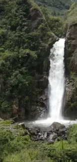 Serene waterfall surrounded by lush green forest.