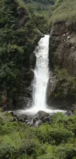 A serene waterfall amidst lush green forest in a mobile phone wallpaper.