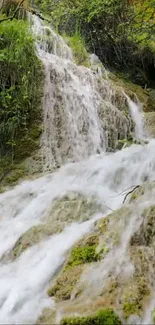 Serene waterfall with lush greenery and smooth flowing water.