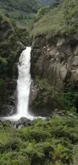 Waterfall cascading down rocks surrounded by lush green foliage.