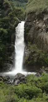 Serene waterfall amidst lush green forest, perfect for nature-themed wallpaper.