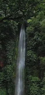 Serene waterfall cascading down surrounded by lush green foliage.