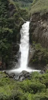 Serene waterfall cascading amidst lush green nature setting.