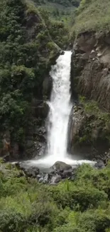 Serene waterfall cascading over lush green rocks in a tranquil forest setting.