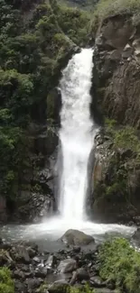 Serene waterfall with lush greenery in nature.