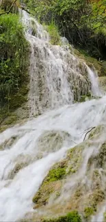 Lush waterfall cascading over rocks surrounded by green foliage.