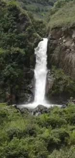 Serene waterfall in lush forest setting.