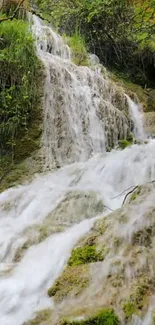 Serene nature waterfall with lush green setting.