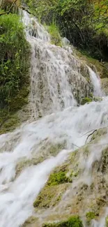 Cascading waterfall surrounded by lush greenery.