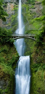 Serene waterfall cascading amid lush greenery with a picturesque bridge.