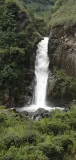 A serene waterfall amidst lush green foliage, perfect for a calming phone wallpaper.