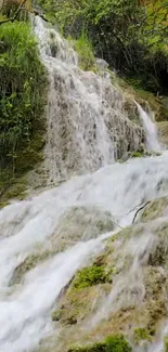 Scenic waterfall cascading over moss-covered rocks in a tranquil forest setting.