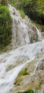 Beautiful waterfall cascading over rocks surrounded by lush greenery.