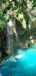 Beautiful waterfall with vibrant blue pool surrounded by lush greenery.