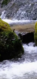 Serene waterfall with mossy rocks and flowing water.