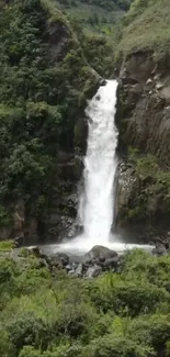 Serene waterfall amidst lush greenery, perfect for a calming phone background.