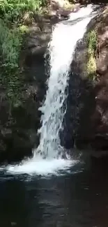 Serene waterfall cascading in a lush forest setting.