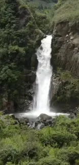 Serene waterfall cascading down lush green cliffs.