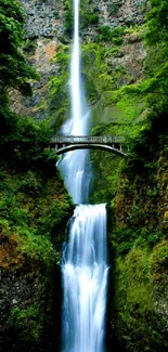 A stunning waterfall with a scenic bridge surrounded by lush greenery.