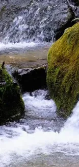 Serene waterfall cascading over mossy rocks in a tranquil stream.