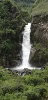 Serene waterfall through green valley with lush surroundings.