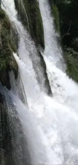 Cascading waterfall amidst lush green foliage.