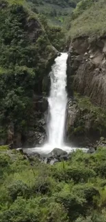 Serene waterfall cascading with lush green surroundings.