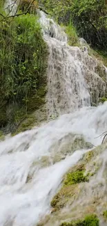 Tranquil waterfall cascading over green rocks and lush vegetation.