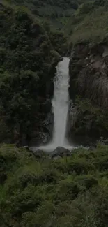 Waterfall surrounded by lush greenery, perfect for nature wallpaper.