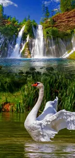 Swan swimming in serene waterfall setting with lush greenery.