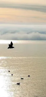 Birds fly over a serene lake at sunset.