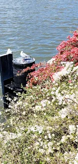 Serene waterfront with vibrant flowers and calm waters.