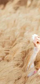 Hand holding flowers in a wheat field mobile wallpaper.