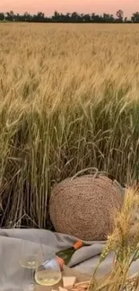 Peaceful picnic setup in wheat field at sunset.