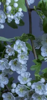 Peaceful wallpaper with white blossoms on lush green branches.