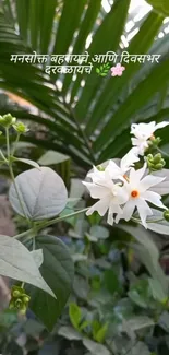 White blossoms with green leaves in a serene background.