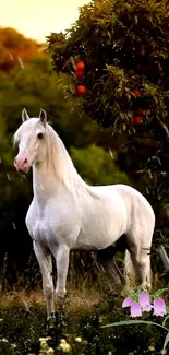 Serene white horse in lush landscape with evening light.